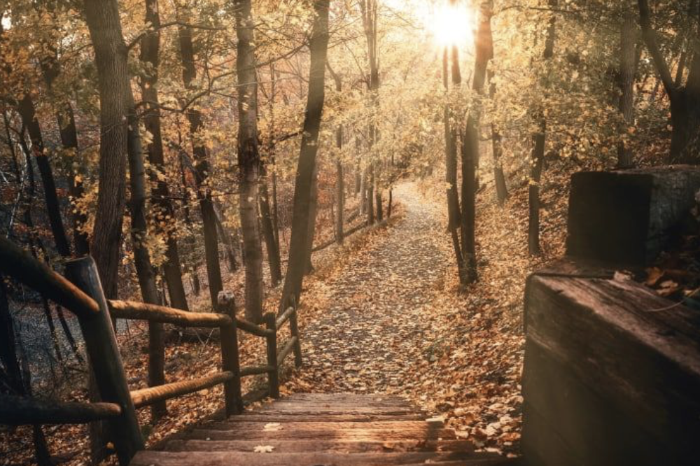 Акции октября